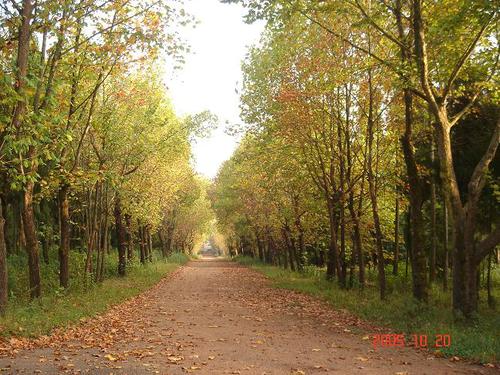 200753010412121 200753010412121