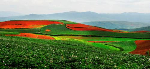 J6ZKT5WIKF图片10（土地资源广阔）