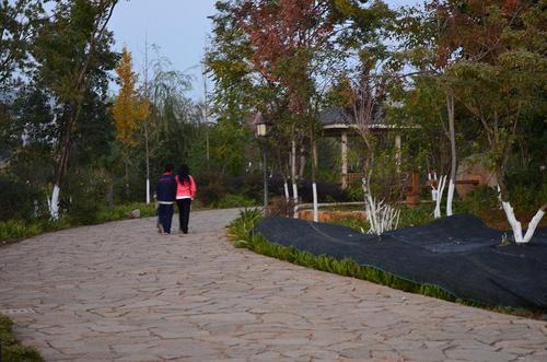 HOZNOM3EEB河滨公园2