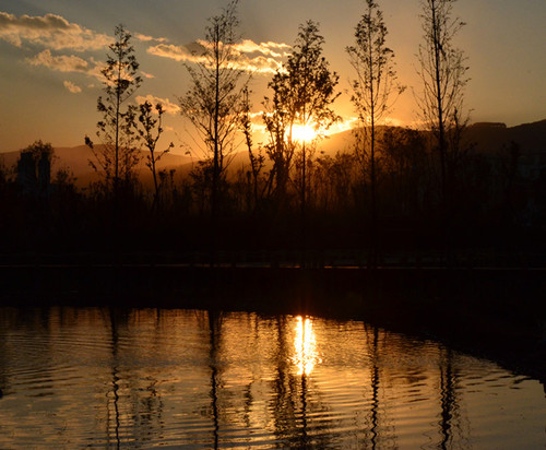 1H48HUTJUQ汇龙湿地5_副本