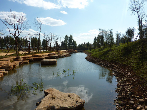 9U2JD56273汇龙湿地8_副本