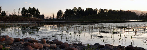 AOZ0HWFQBU汇龙湿地7_副本