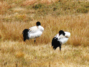 PCC8X10YU8录+チ⑿α__Ζ_ PCC8X10YU8录+チ⑿α__Ζ_