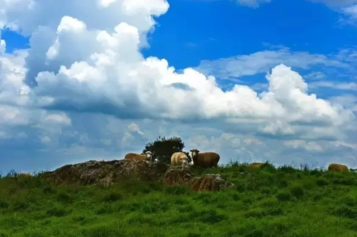 寻甸凤梧山初秋风景如诗如画6