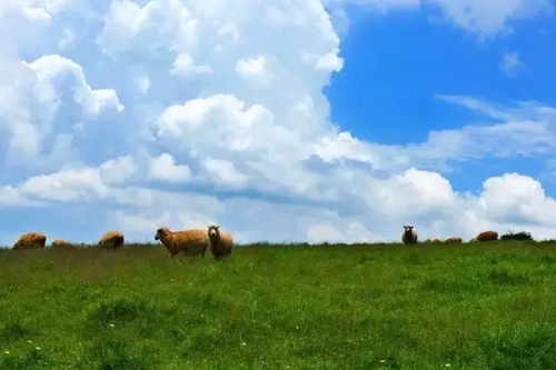 寻甸凤梧山初秋风景如诗如画7