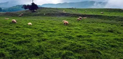 寻甸凤梧山初秋风景如诗如画8