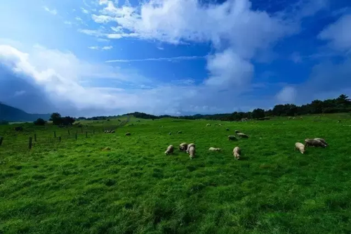 寻甸凤梧山初秋风景如诗如画10