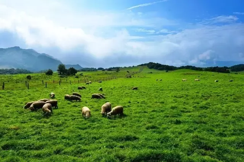 寻甸凤梧山初秋风景如诗如画9