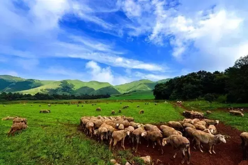 寻甸凤梧山初秋风景如诗如画12