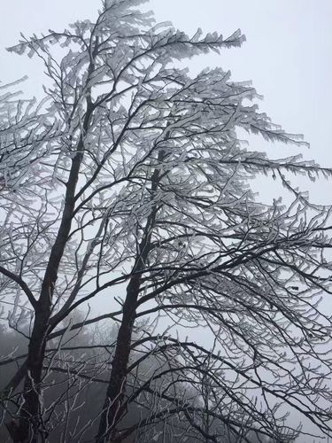 微信图片_20171227093203