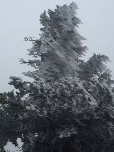 微信图片_20171227093207