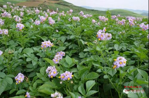 微信图片_20180518094218