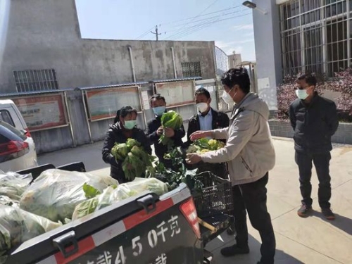 捐赠蔬菜 捐赠蔬菜