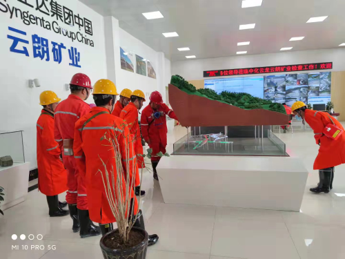 图片1