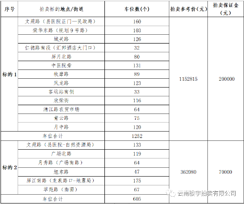 寻甸县城区域可运营机动临时停车泊位租赁权拍卖公告