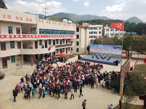图片1