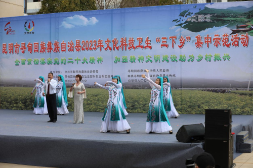 图片3