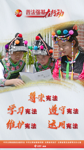 普法强基在行动_尊崇宪法 学习宪法 遵守宪法 维护宪法 运用宪法
