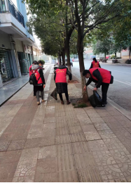 微信图片_20231012153115 微信图片_20231012153115