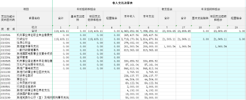 收入支出决算表