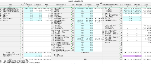 收入支出决算总表
