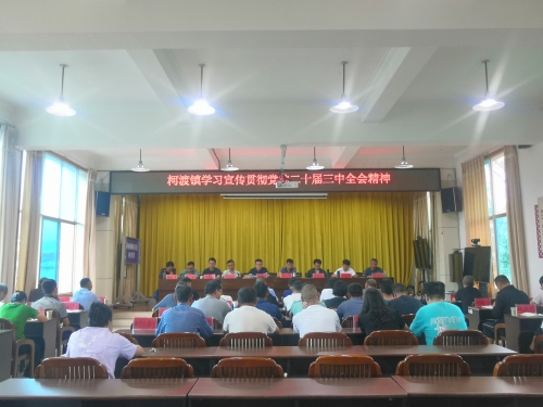 62fd0f9b22e1c96177c626c9e50ed11