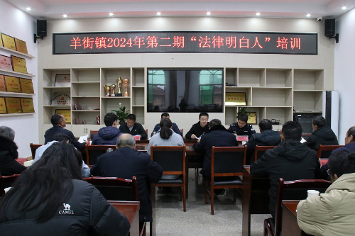 图片13