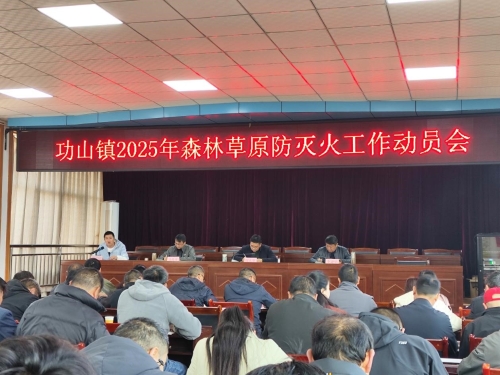 图片6