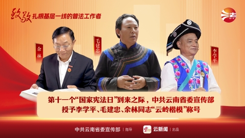 第11个国家宪法日
