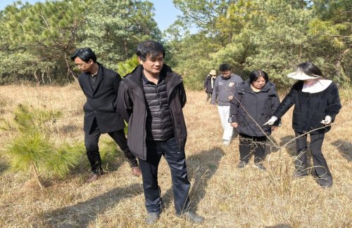 图片2