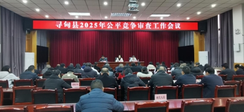 图片6