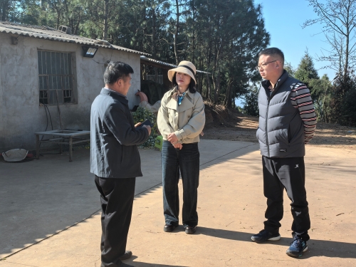 微信图片_20250305150810 微信图片_20250305150810
