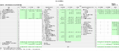 金所街道2024年收入支出决算总表