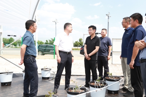 6.11县委书记高宇明带队到街道调研农业产业重点项目推进情况 (4)