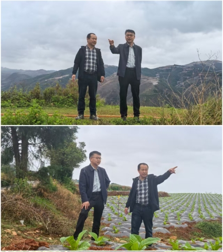 微信图片_20250613105940