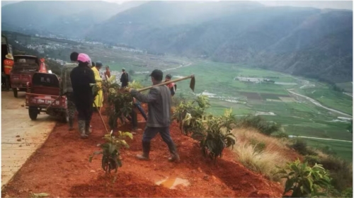 微信图片_20250613110049