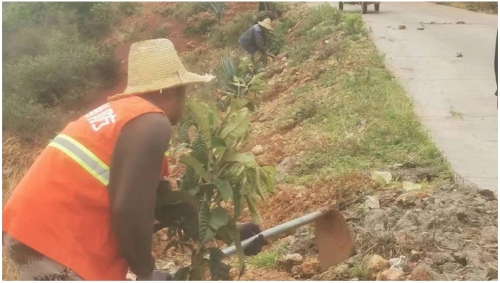 微信图片_20250613105833