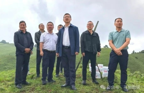 微信截图_20250624142957