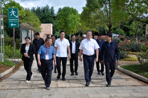 微信图片_20250701094028