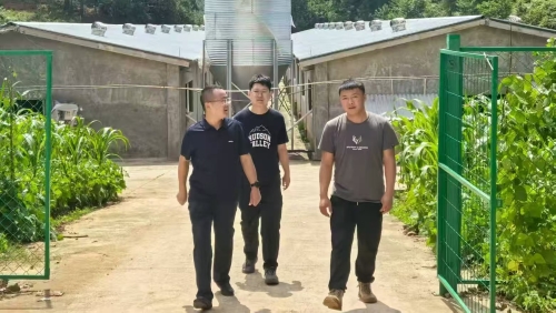 微信图片_20250723160824