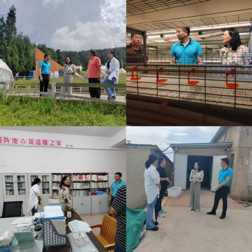 微信图片_20250805090828_106 微信图片_20250805090828_106