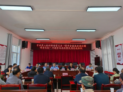 中央环保督察整改
