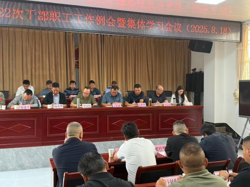 先锋镇召开2025年第22次干部职工工作例会暨集体学习