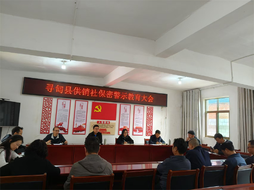 图片9