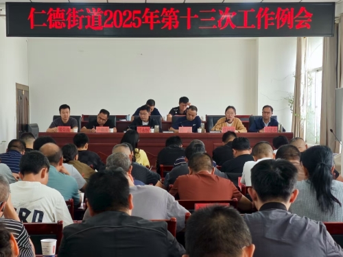 仁德街道2025年第十三次工作例会 仁德街道2025年第十三次工作例会