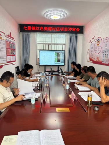 项目评审会