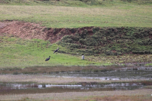 微信图片_20251107151655