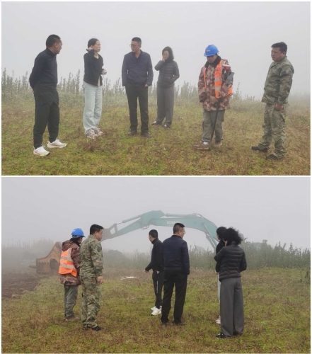 微信图片_20251209110516_520_11 微信图片_20251209110516_520_11