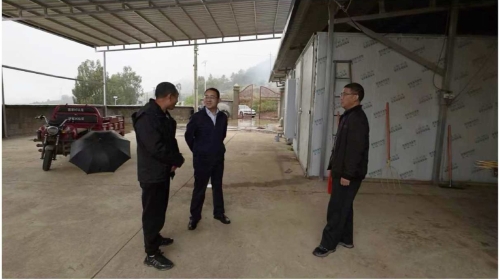 微信图片_20251224104504_694_11