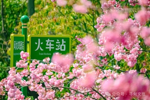 微信图片_2025-12-25_144142_268